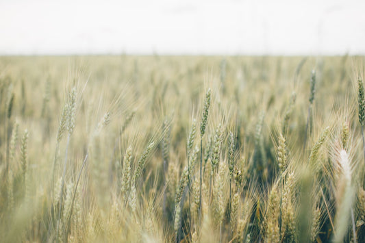 5 ways to become more socially conscious